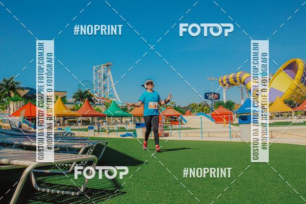 Buy your photos of the eventACQUAFEST WETN WILD 2019 on Fotop