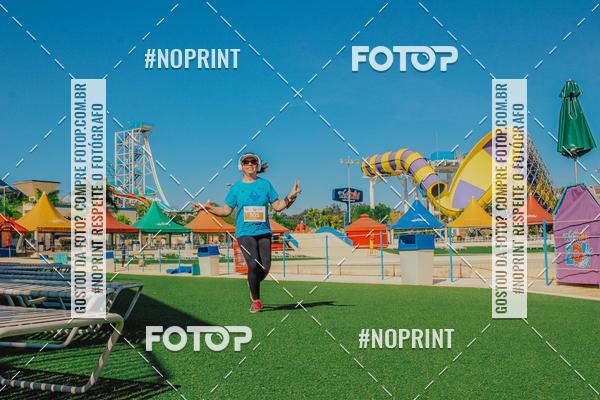 Buy your photos of the eventACQUAFEST WETN WILD 2019 on Fotop