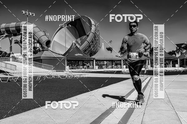 Buy your photos of the eventACQUAFEST WET�N WILD 2019 on Fotop