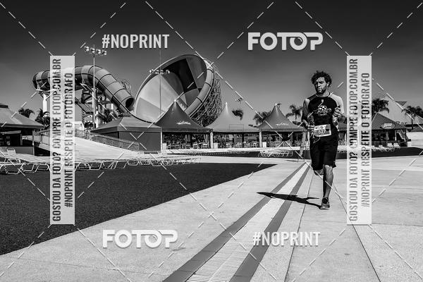 Buy your photos of the eventACQUAFEST WET�N WILD 2019 on Fotop