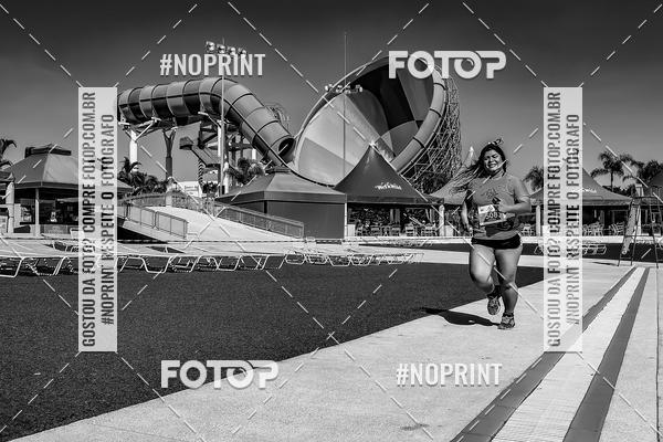 Buy your photos of the eventACQUAFEST WET�N WILD 2019 on Fotop