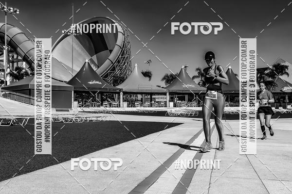 Buy your photos of the eventACQUAFEST WET�N WILD 2019 on Fotop