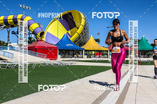 Buy your photos of the eventACQUAFEST WET�N WILD 2019 on Fotop
