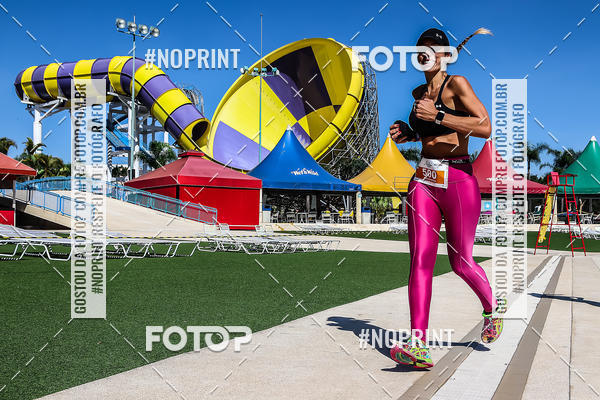 Buy your photos of the eventACQUAFEST WET�N WILD 2019 on Fotop