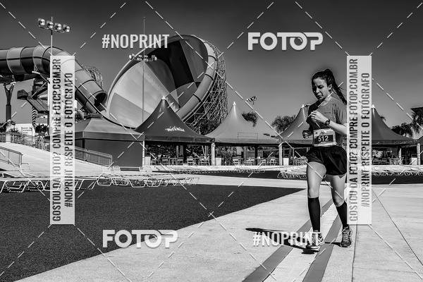 Buy your photos of the eventACQUAFEST WET�N WILD 2019 on Fotop