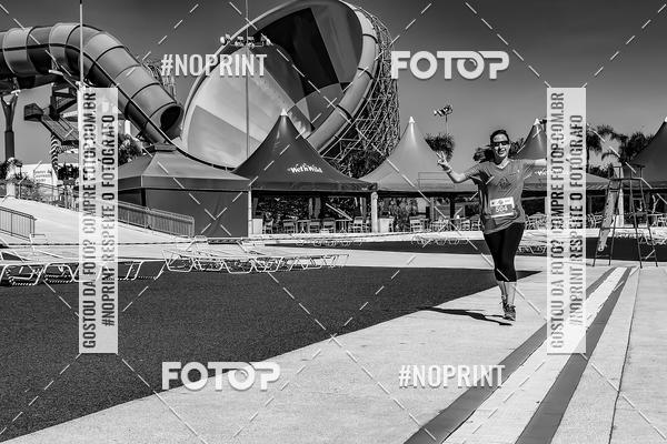 Buy your photos of the eventACQUAFEST WET�N WILD 2019 on Fotop