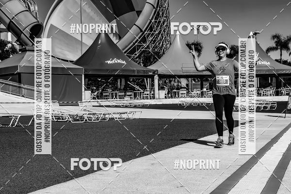 Buy your photos of the eventACQUAFEST WET�N WILD 2019 on Fotop