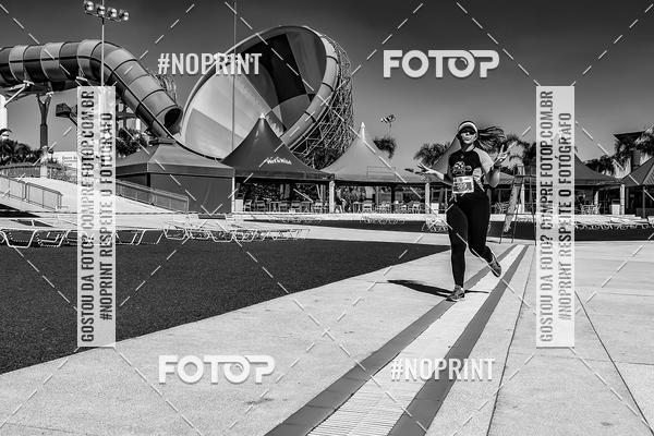 Buy your photos of the eventACQUAFEST WET�N WILD 2019 on Fotop