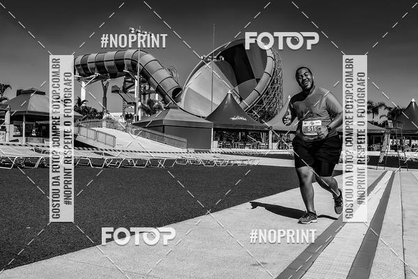 Buy your photos of the eventACQUAFEST WET�N WILD 2019 on Fotop