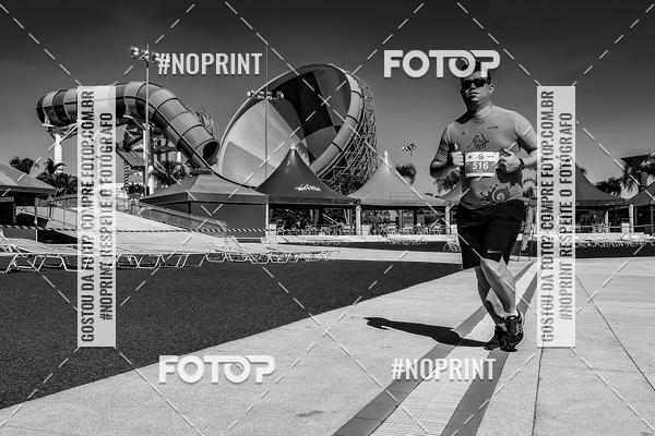 Buy your photos of the eventACQUAFEST WET�N WILD 2019 on Fotop