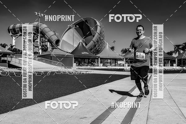 Buy your photos of the eventACQUAFEST WET�N WILD 2019 on Fotop