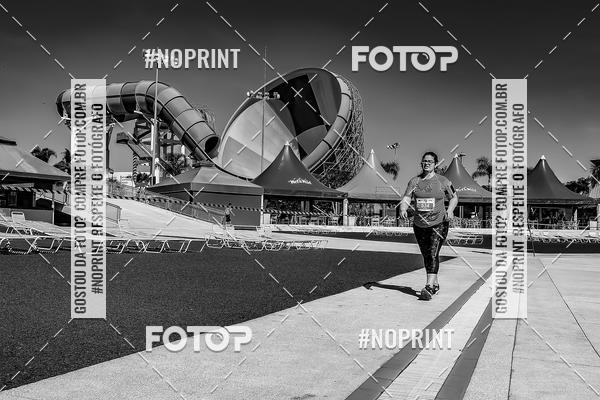 Buy your photos of the eventACQUAFEST WET�N WILD 2019 on Fotop