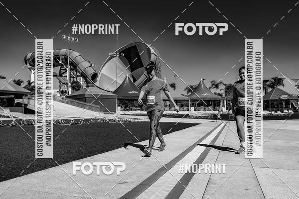 Buy your photos of the eventACQUAFEST WET�N WILD 2019 on Fotop