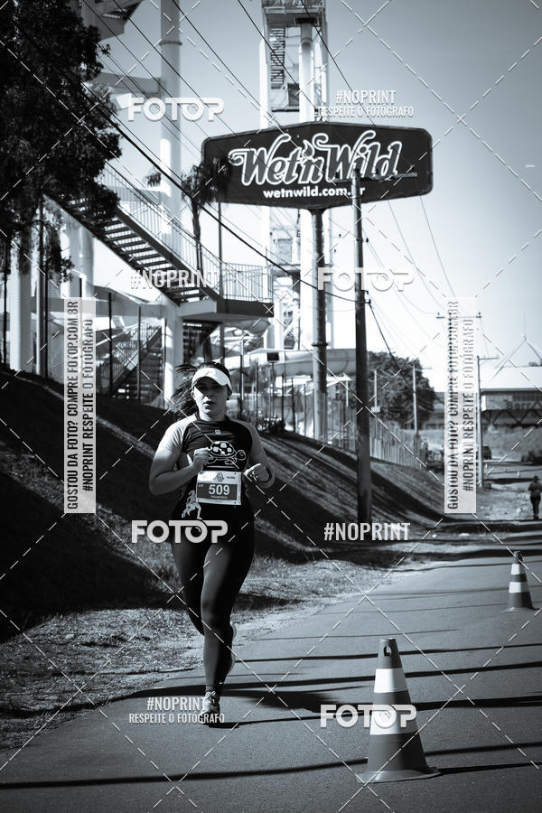 Buy your photos of the eventACQUAFEST WETN WILD 2019 on Fotop