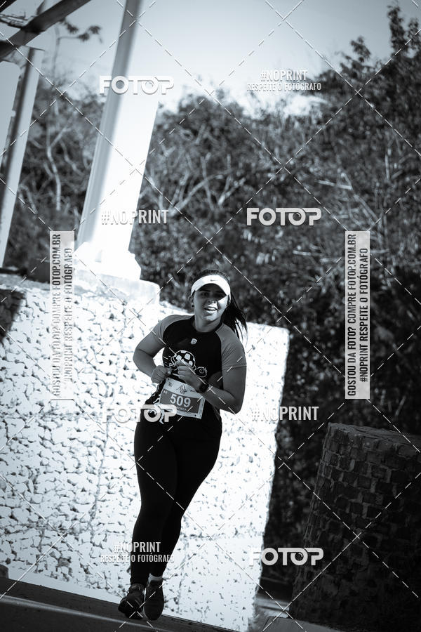 Buy your photos of the eventACQUAFEST WETN WILD 2019 on Fotop