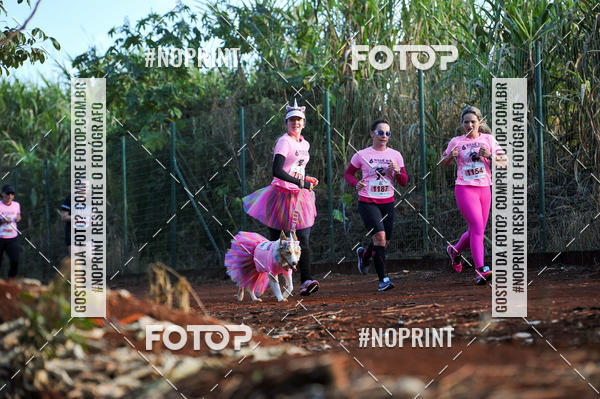 Buy your photos of the event6� Rissi� Run For Woman Lets Rock 2019 on Fotop