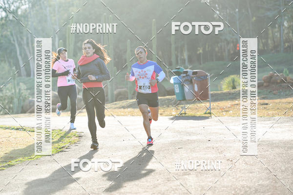 Buy your photos of the event6� Rissi� Run For Woman Lets Rock 2019 on Fotop