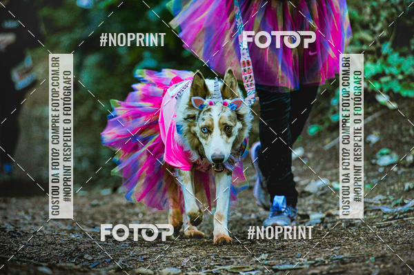 Buy your photos of the event6� Rissi� Run For Woman Lets Rock 2019 on Fotop