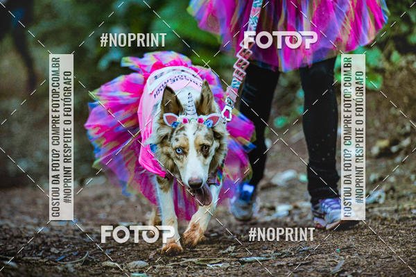 Buy your photos of the event6� Rissi� Run For Woman Lets Rock 2019 on Fotop