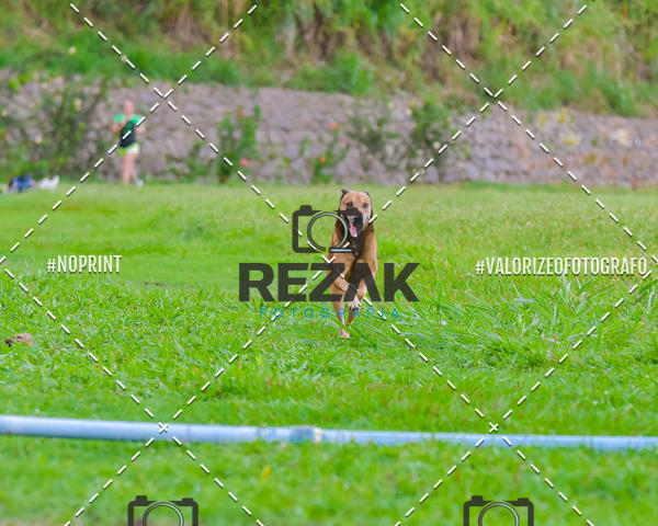 Buy your photos of the eventTreino na UFBA  (31/07/2019) on Fotop