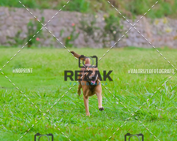 Buy your photos of the eventTreino na UFBA  (31/07/2019) on Fotop