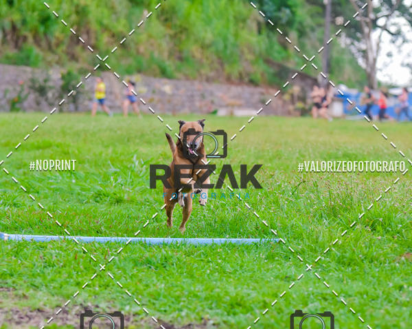Buy your photos of the eventTreino na UFBA  (31/07/2019) on Fotop