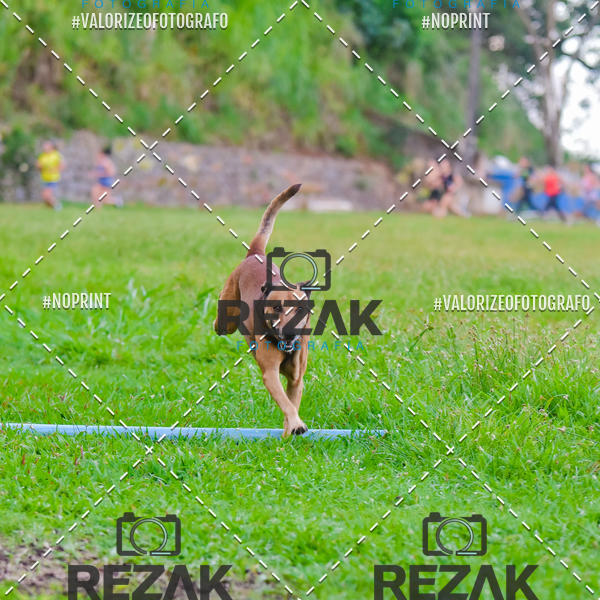 Buy your photos of the eventTreino na UFBA  (31/07/2019) on Fotop