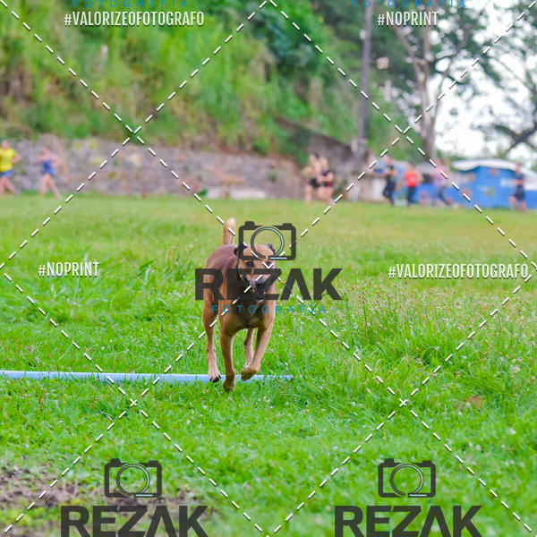 Buy your photos of the eventTreino na UFBA  (31/07/2019) on Fotop