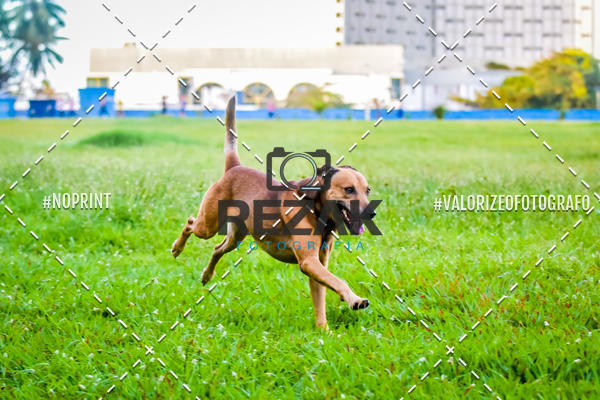 Buy your photos of the eventTreino na UFBA  (31/07/2019) on Fotop