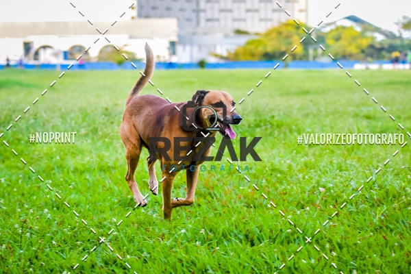 Buy your photos of the eventTreino na UFBA  (31/07/2019) on Fotop