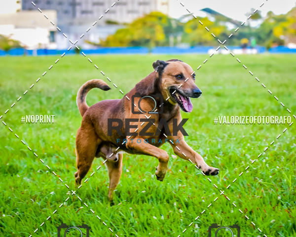 Buy your photos of the eventTreino na UFBA  (31/07/2019) on Fotop