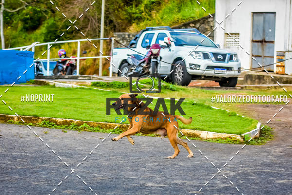 Buy your photos of the eventTreino na UFBA  (31/07/2019) on Fotop