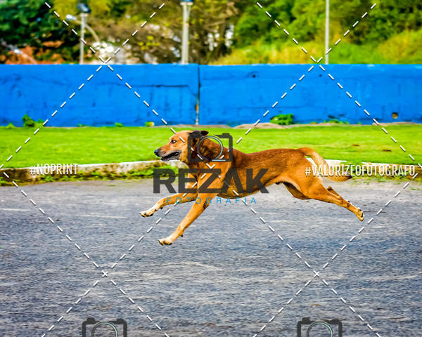 Compra tus fotos del eventoTreino na UFBA  (31/07/2019) En Fotop