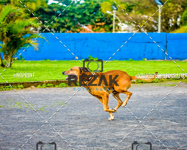 Buy your photos of the eventTreino na UFBA  (31/07/2019) on Fotop