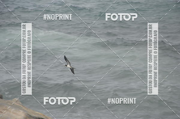 Buy your photos of the eventCIRCUITO ALOHA SPIRIT on Fotop