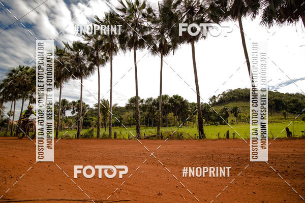 Buy your photos of the eventCircuito MR Peas 2019 on Fotop