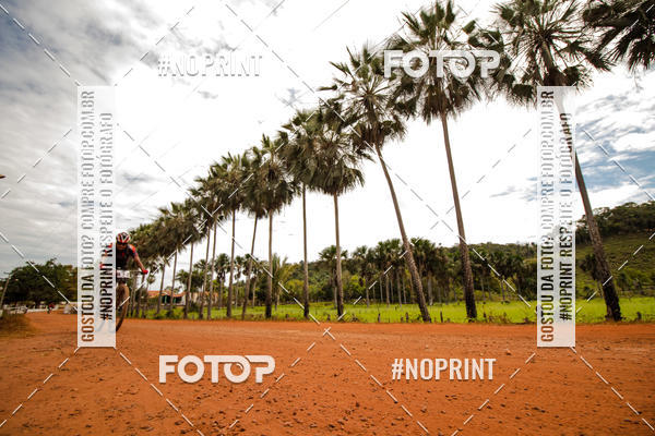 Buy your photos of the eventCircuito MR Peas 2019 on Fotop