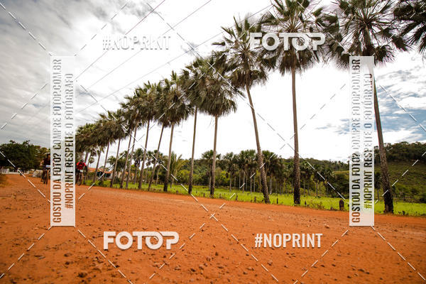 Buy your photos of the eventCircuito MR Peas 2019 on Fotop