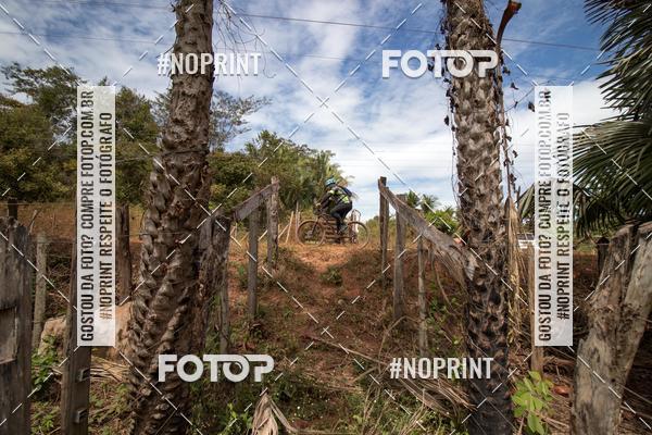 Buy your photos of the eventCircuito MR Peas 2019 on Fotop