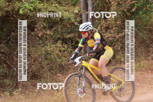 Buy your photos of the eventCircuito MR Peas 2019 on Fotop