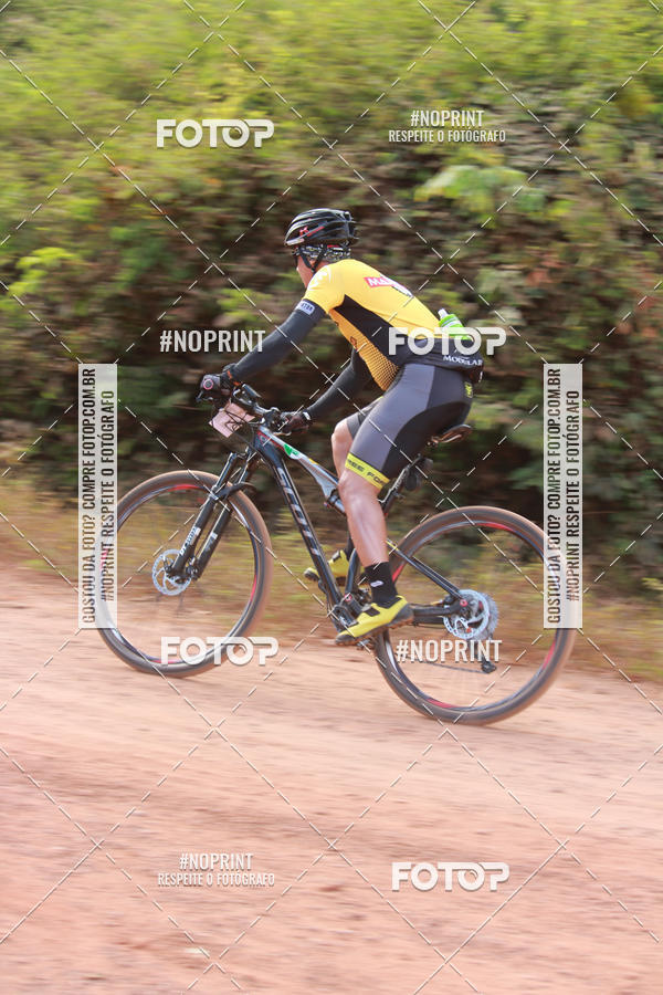 Buy your photos of the eventCircuito MR Peas 2019 on Fotop