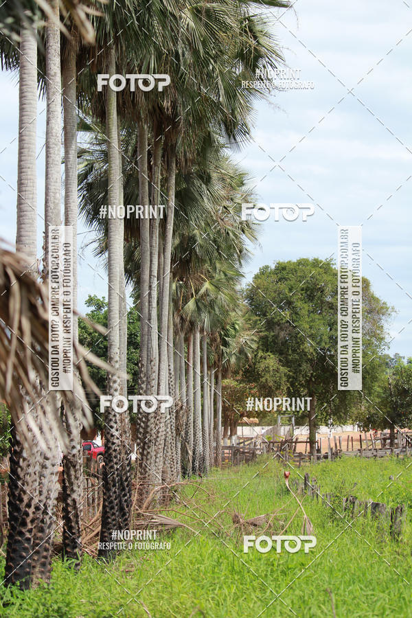 Buy your photos of the eventCircuito MR Peas 2019 on Fotop