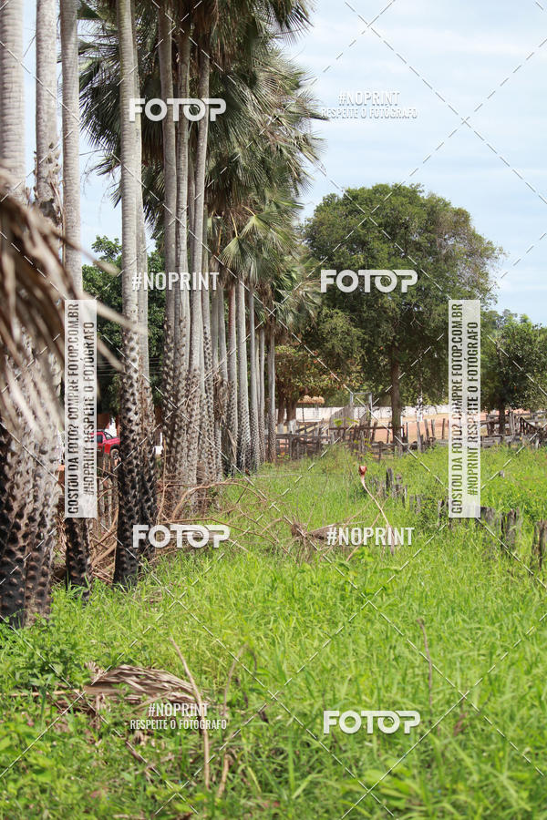 Buy your photos of the eventCircuito MR Peas 2019 on Fotop