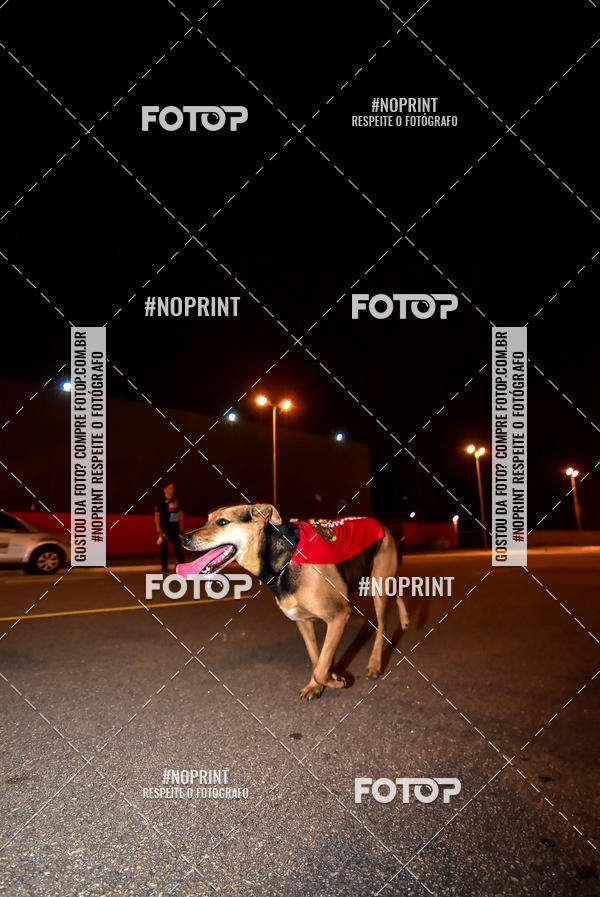 Buy your photos of the event1 Corrida Noturna Super 17 - Etapa Mogi das Cruzes on Fotop