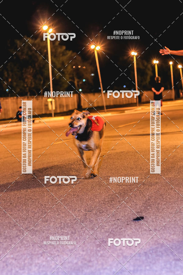 Buy your photos of the event1 Corrida Noturna Super 17 - Etapa Mogi das Cruzes on Fotop
