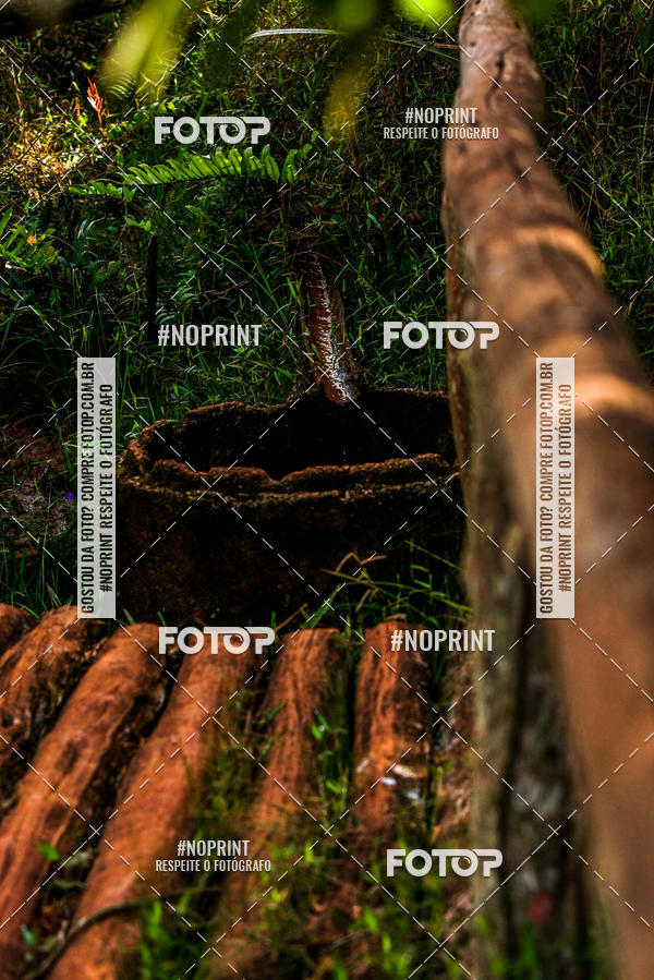 Buy your photos of the eventDesafio Brou Passeio Ciclistico Ouro Preto on Fotop