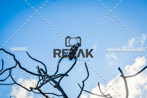 Compre suas fotos do eventoTreino no COE  (03/08/2019)  no Fotop