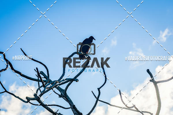 Compre suas fotos do eventoTreino no COE  (03/08/2019)  no Fotop