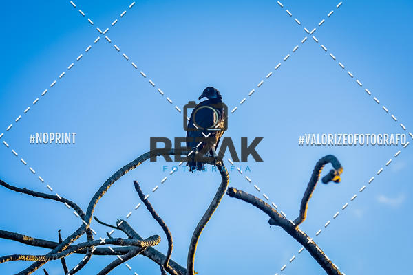 Compre suas fotos do eventoTreino no COE  (03/08/2019)  no Fotop