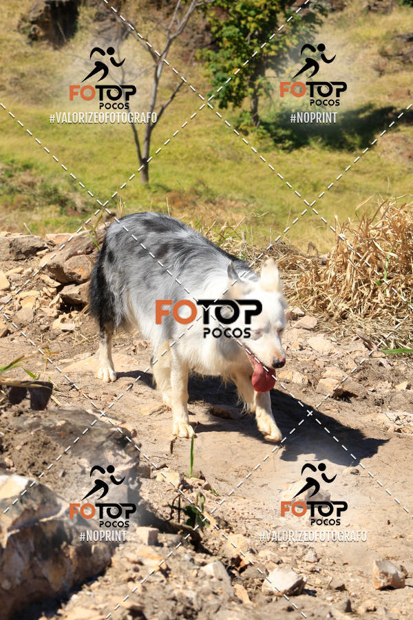 Buy your photos of the event1� King Mountain - Caminhada de Montanha on Fotop